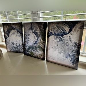 Set of 3 canvas pictures. 16” x 12”.